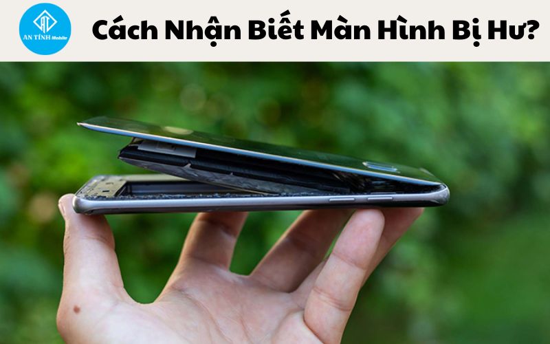 Sửa Điện Thoại Hư Màn Hình Uy Tín Tại Thủ Đức - An Tính Mobile