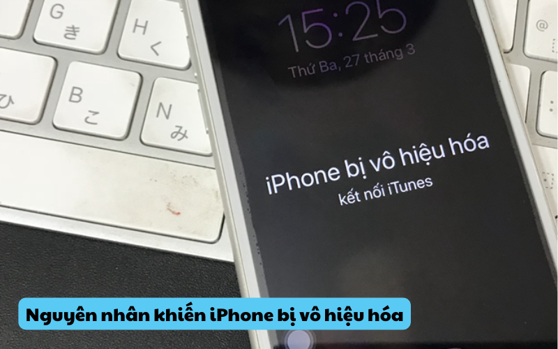 Nguyên nhân khiến iPhone bị vô hiệu hóa