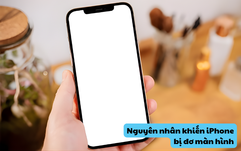 Nguyên nhân khiến iPhone bị đơ màn hình