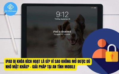 iPad Bị Khóa Kích Hoạt Là Gì? Tìm hiểu ngay tại An Tính Mobile