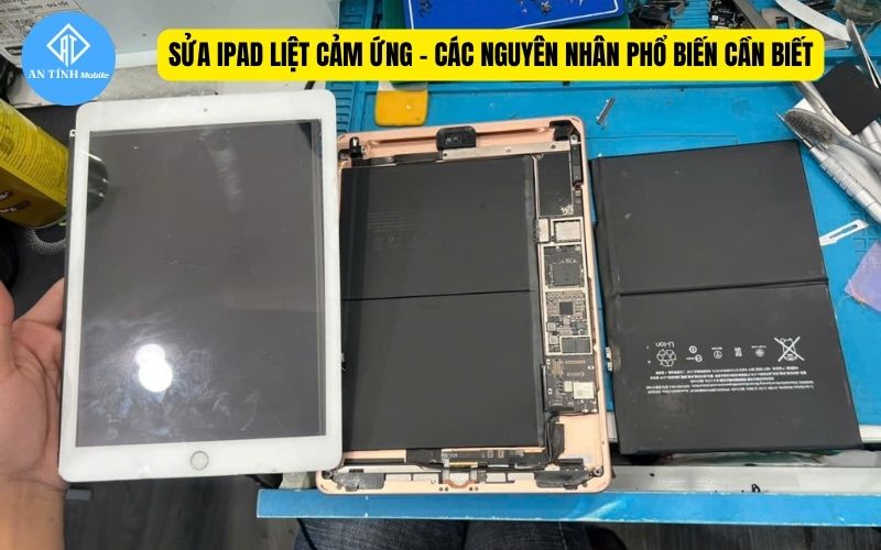 Nguyên nhân tại sao iPad liệt cảm ứng