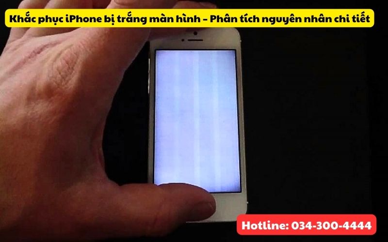 Nguyên nhân iPhone bị trắng màn hình