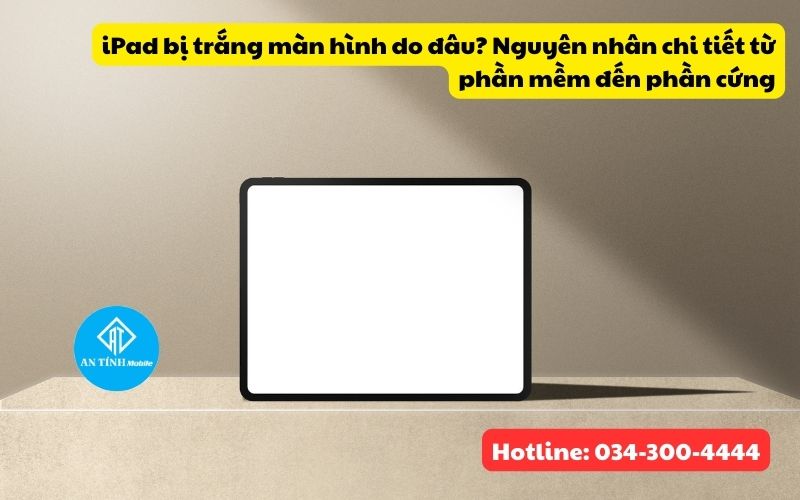 Nguyên nhân khiến iPad bị trắng màn hình
