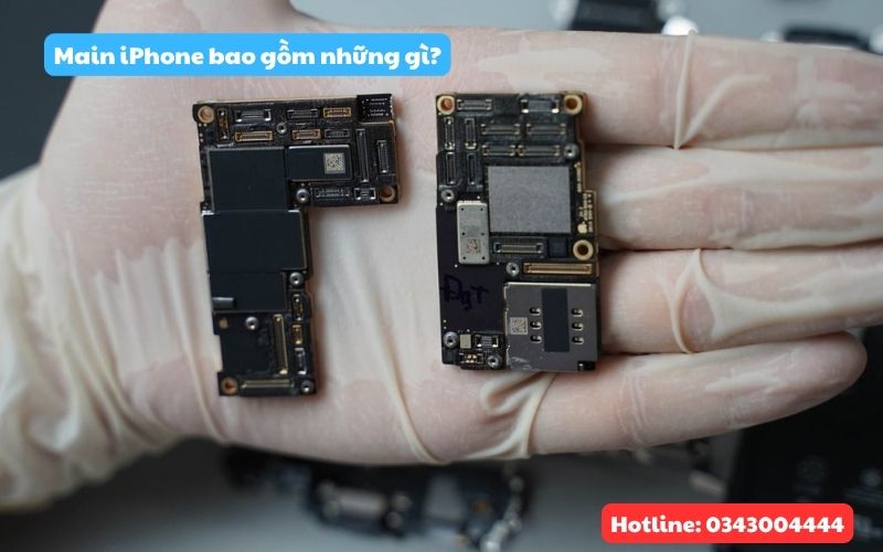 Main iPhone bao gồm những gì?