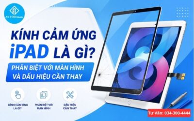Kính Cảm Ứng iPad Là Gì? Phân Biệt Với Màn Hình Và Khi Nào Cần Thay
